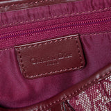 CHRISTIAN DIOR TROTTER SADDLE