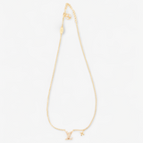 LOUIS VUITTON ICONIC NECKLACE
