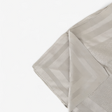 CHRISTIAN DIOR CHIFFON SCARF