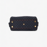 LOUIS VUITTON JOSEPHINE PM