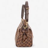 LOUIS VUITTON TREVI PM